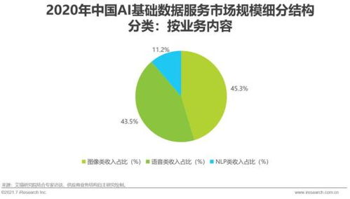 2021年中國人工智能基礎(chǔ)層行業(yè)研究報告 基礎(chǔ)軟件開發(fā)篇